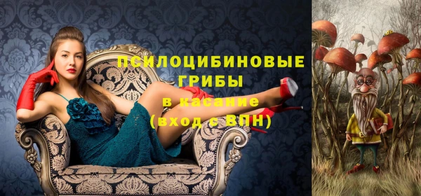спайс Сатка