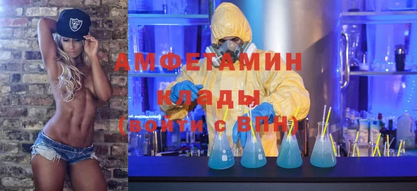 индика Сафоново