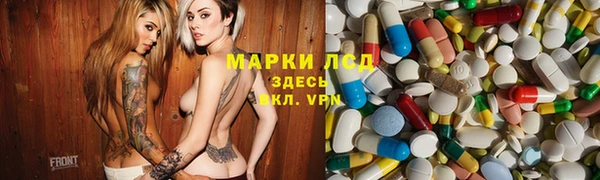 индика Сафоново