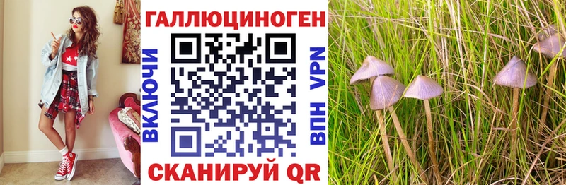 Псилоцибиновые грибы Psilocybine cubensis  Сысерть 